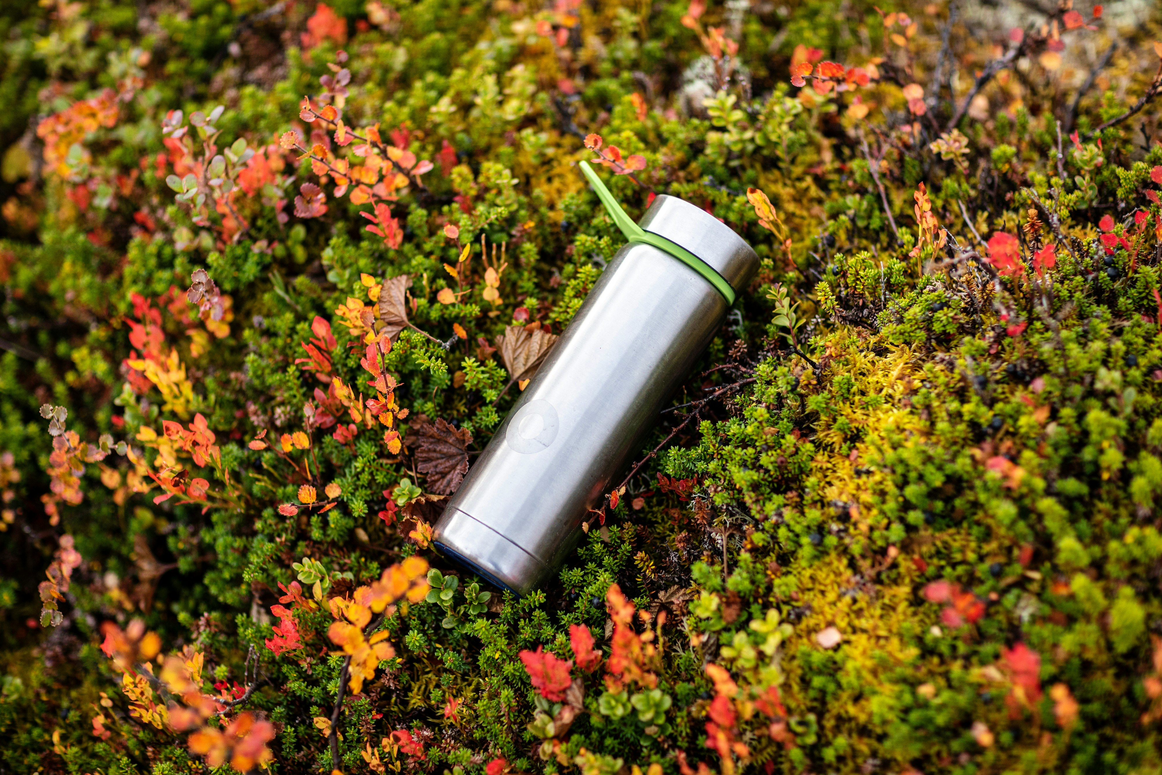 black and silver tube on green plant